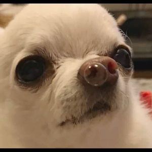 Meet your Posher, Mariah